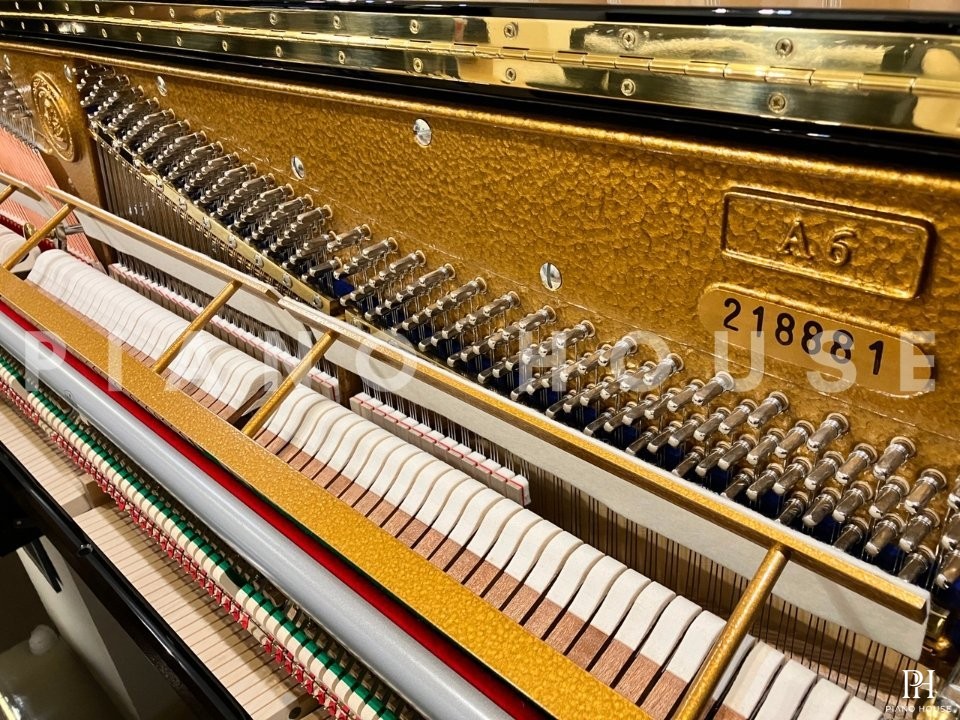 A6 (C.Bechstein Academy)