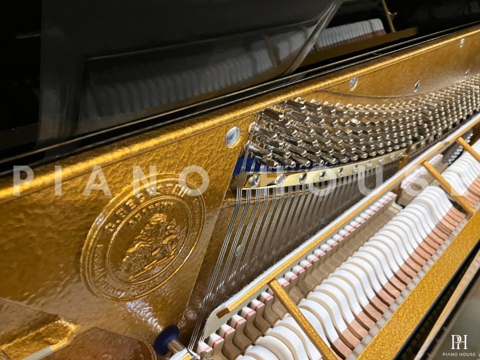 A6 (C.Bechstein Academy)