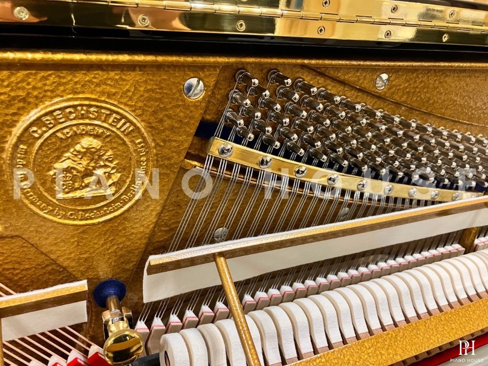 A6 (C.Bechstein Academy)