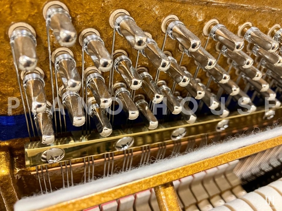 A6 (C.Bechstein Academy)