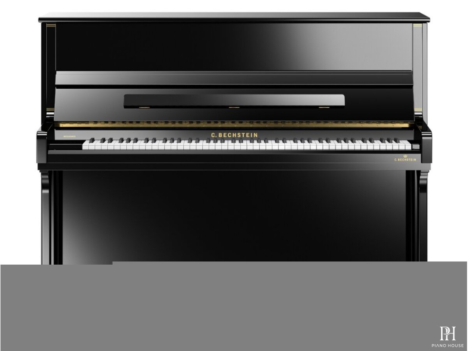 R4 (C.Bechstein Residence)