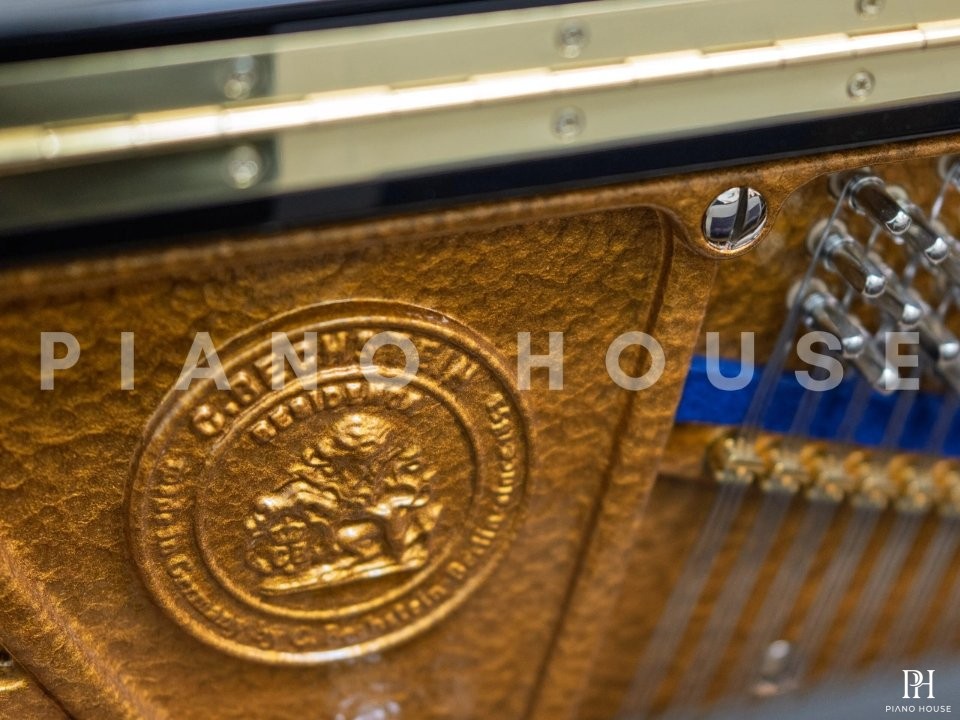 C.Bechstein R6 (Residence Series)