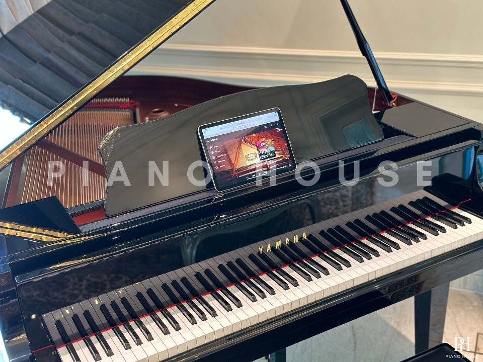 YAMAHA DGB1K ESNT PE