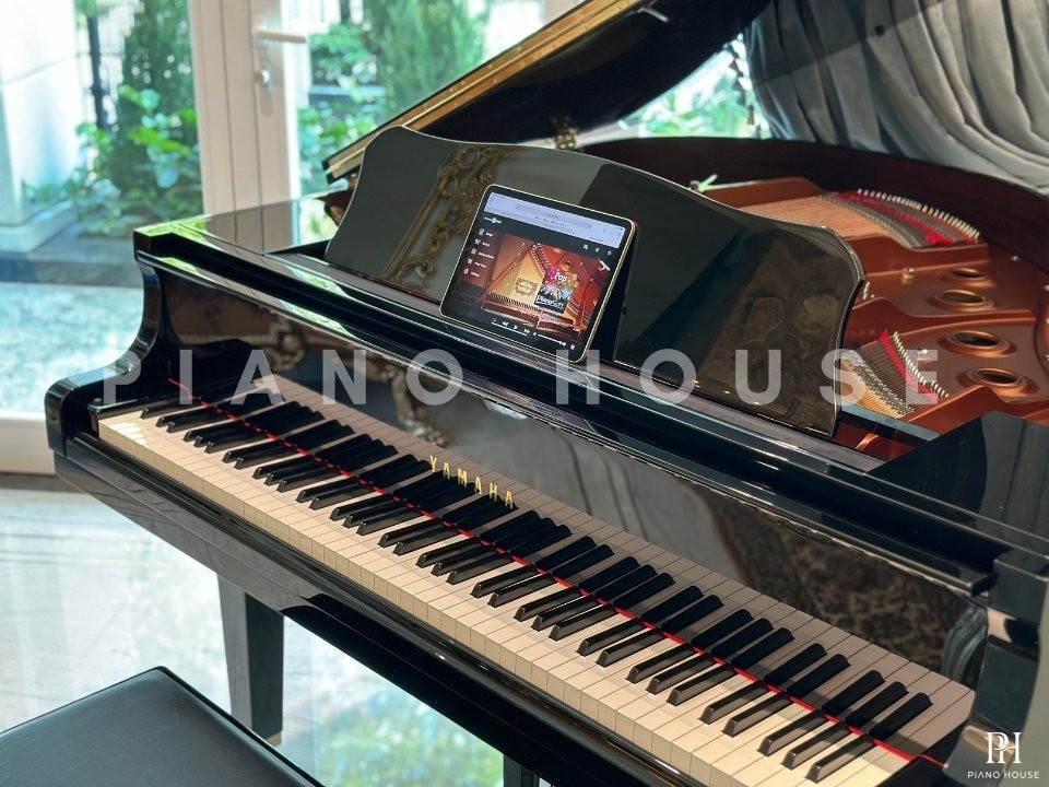 YAMAHA DGB1K ESNT PE