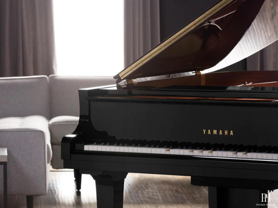 YAMAHA DGC2 ESNT PE