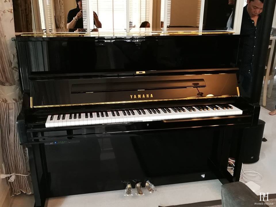 YAMAHA DU1 ESNT PE