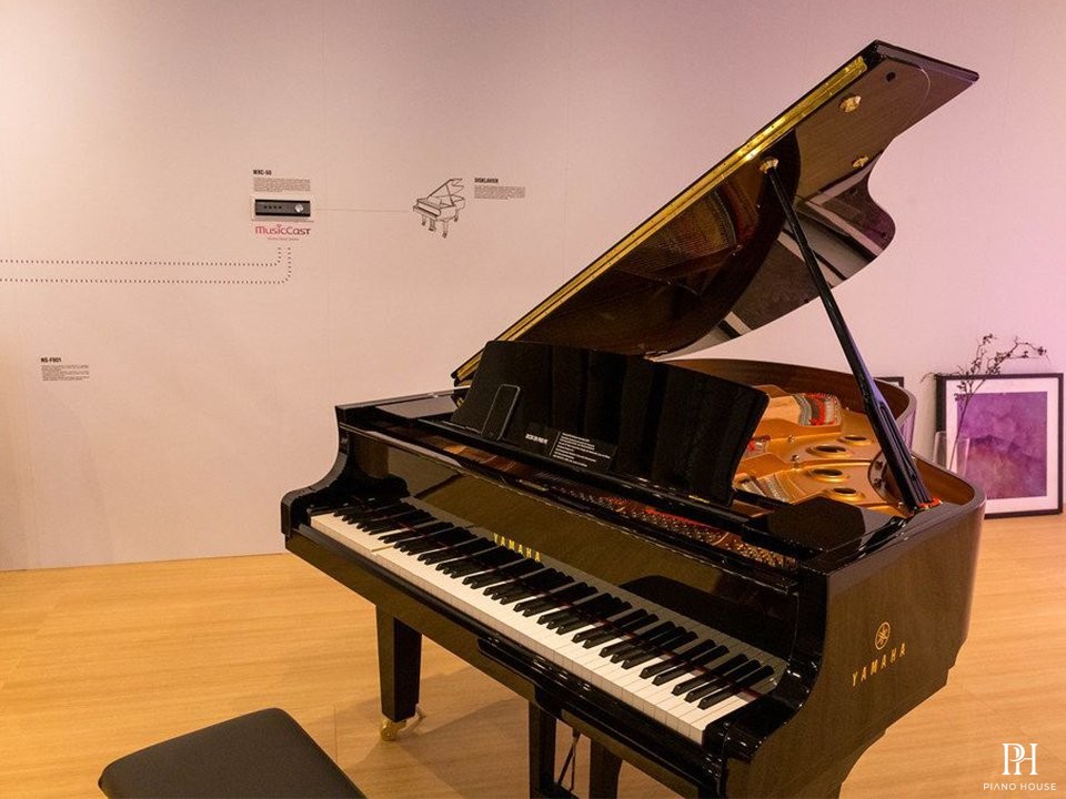 YAMAHA DC3X ENPRO PE