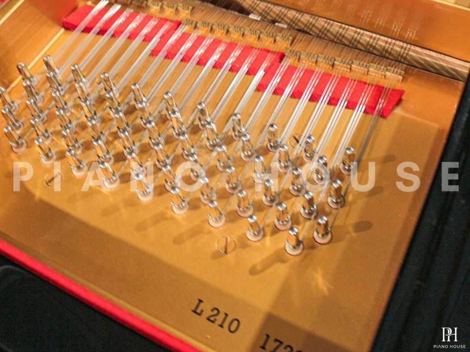 Estonia L210 Polish Ebony