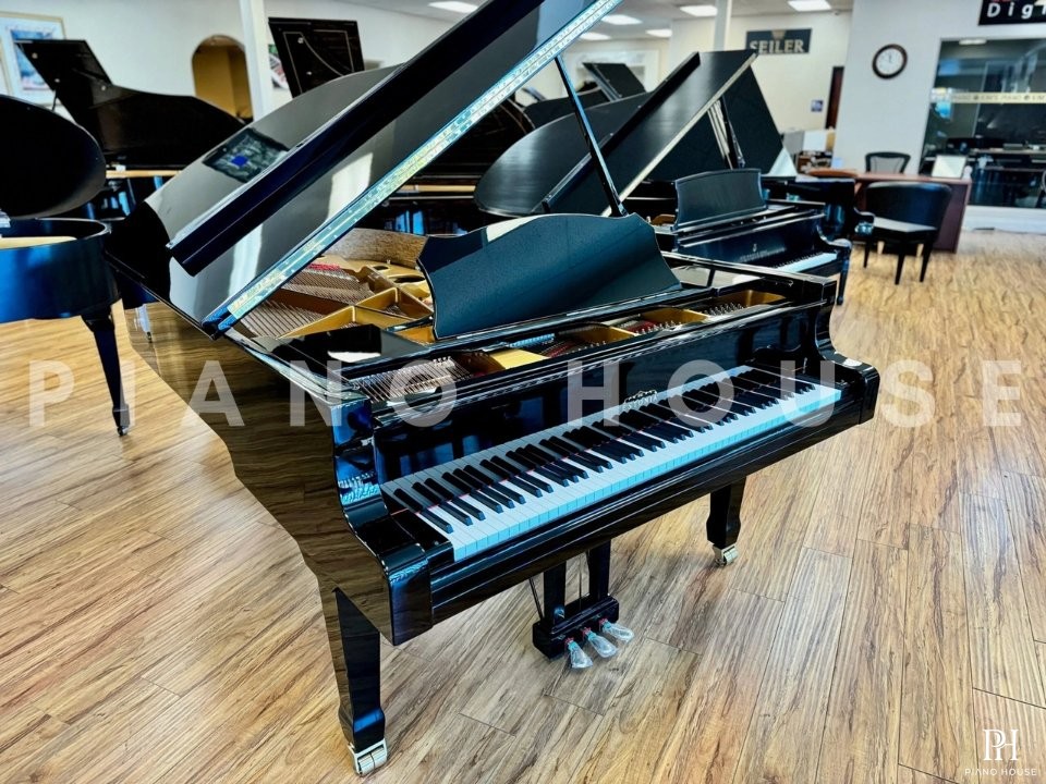 Estonia L210 Polish Ebony