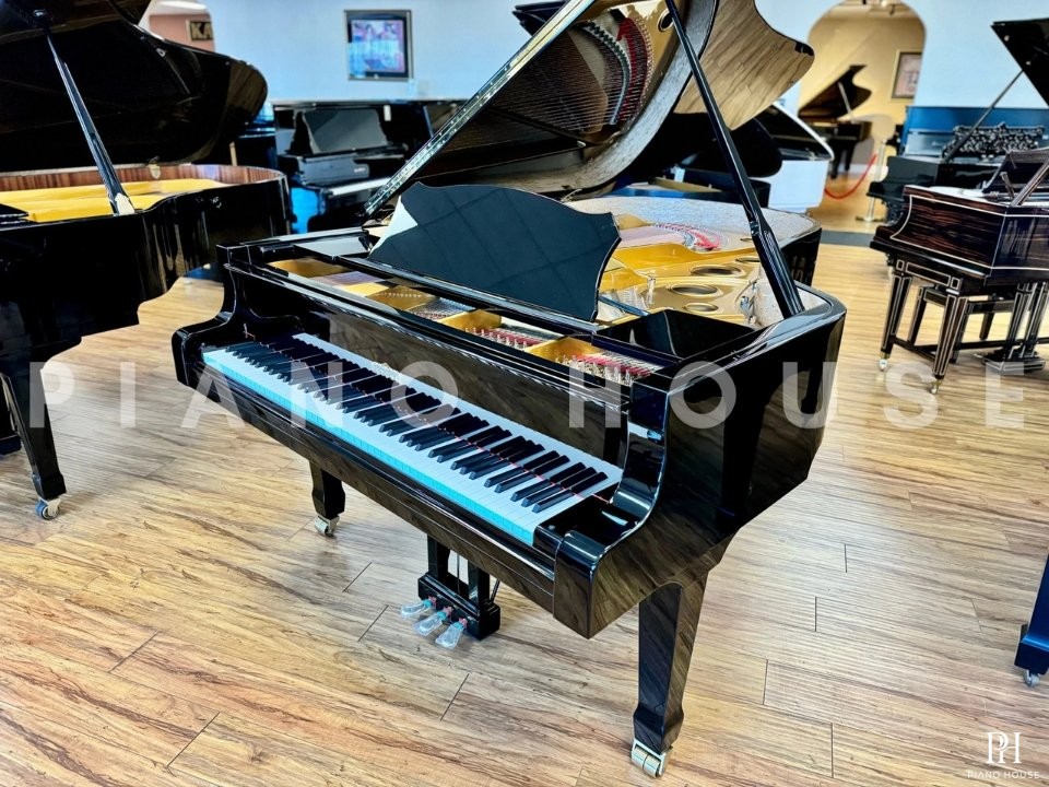 Estonia L210 Polish Ebony
