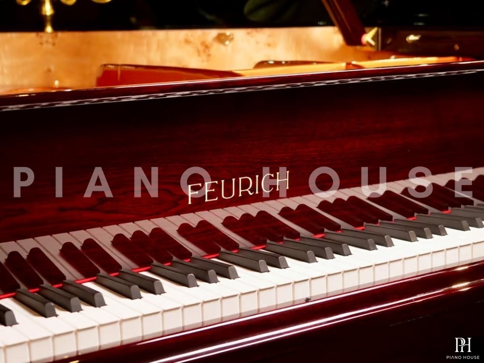 FEURICH 162 - "DYNAMIC I" (Bordeaux Polished)