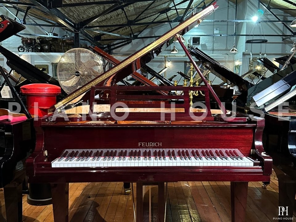 FEURICH 162 - "DYNAMIC I" (Bordeaux Polished)