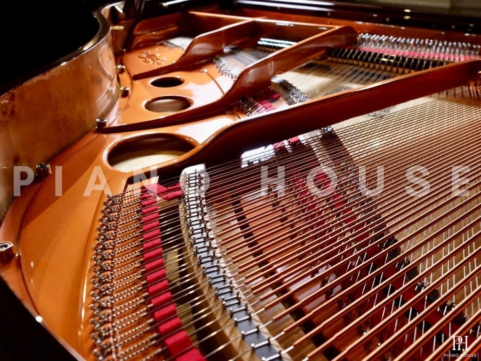 FEURICH 162 - "DYNAMIC I" (Bordeaux Polished)
