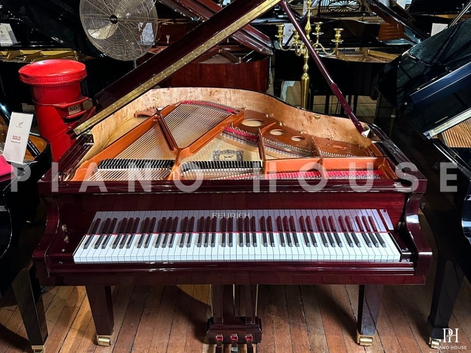 FEURICH 162 - "DYNAMIC I" (Bordeaux Polished)