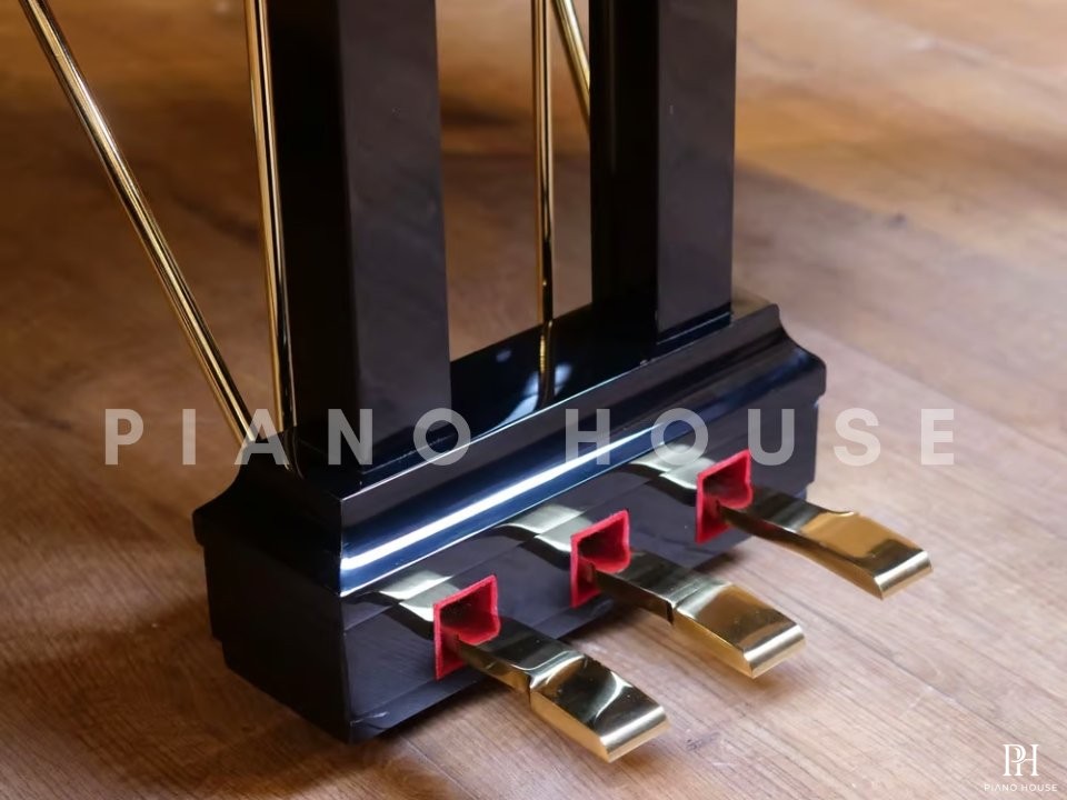 FEURICH 162  & DYNAMIC I (Black Polish & Brass)