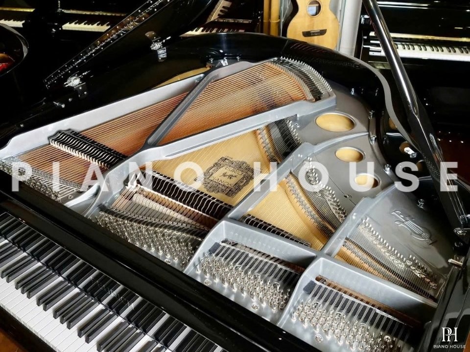 FEURICH 162 - "DYNAMIC I" (Black Polish & Chrome)