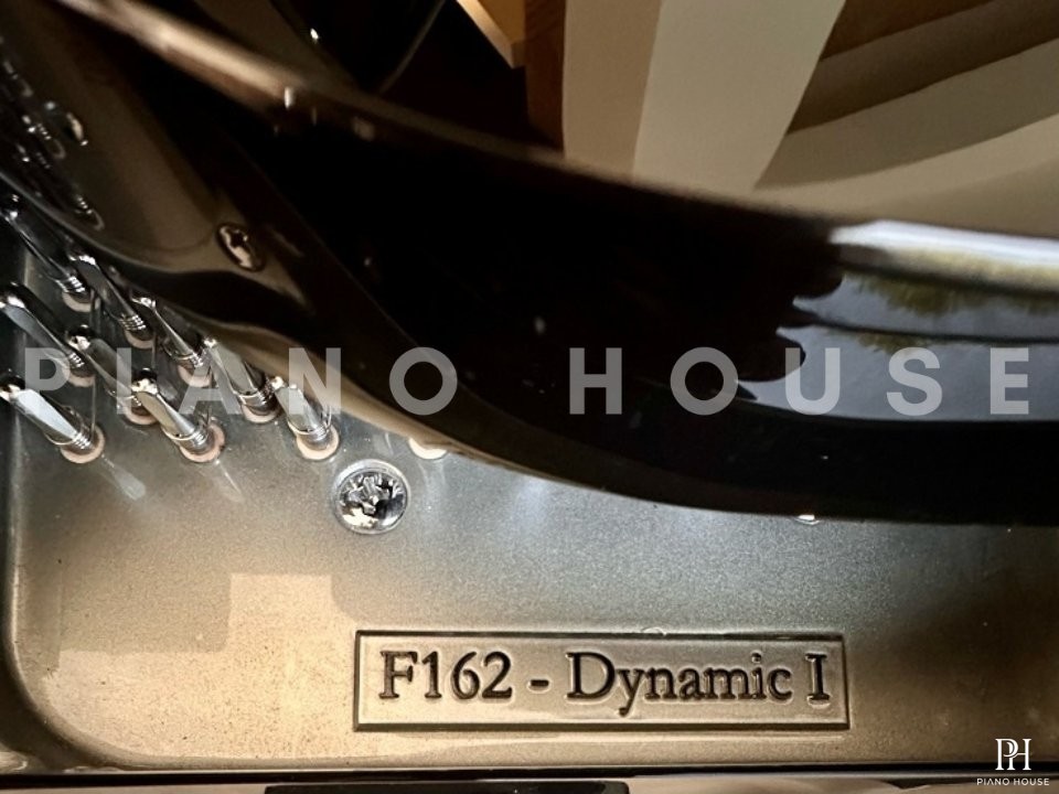 FEURICH 162 - "DYNAMIC I" (Black Polish & Chrome)