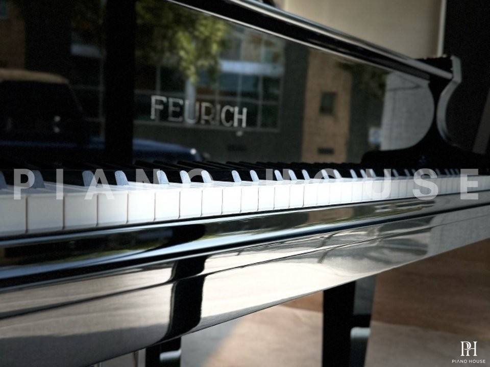 FEURICH 162 - "DYNAMIC I" (Black Polish & Chrome)