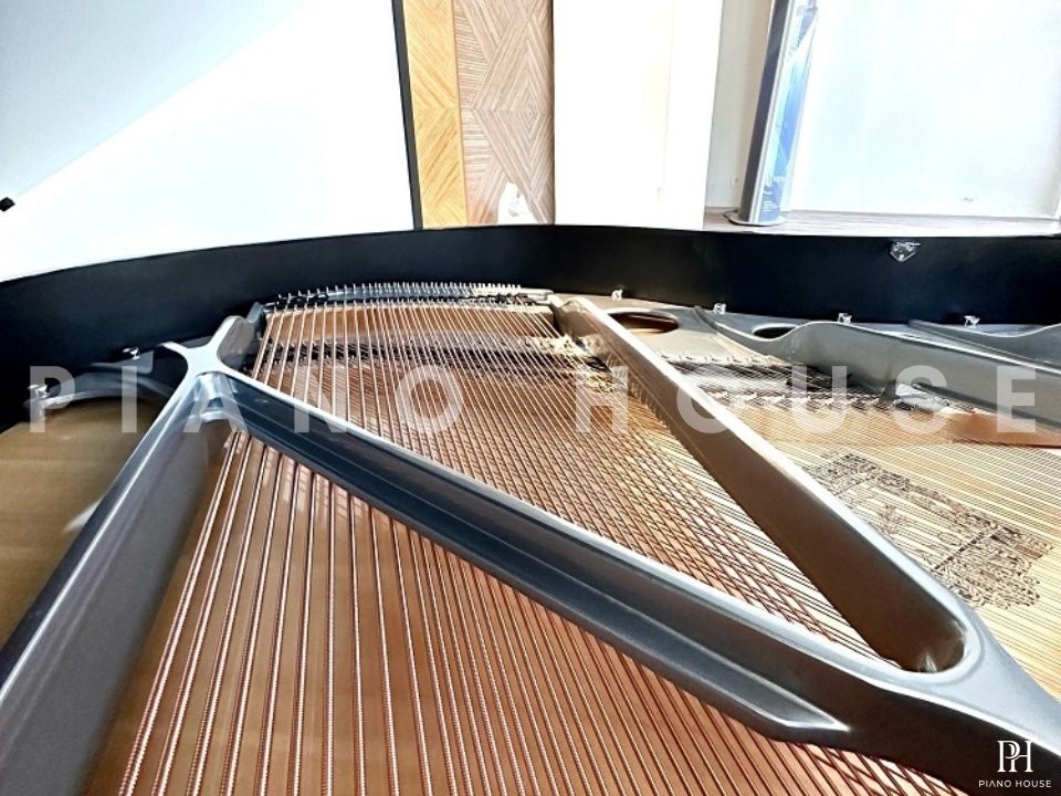 FEURICH 162 - "DYNAMIC I" (Black Polish & Chrome)