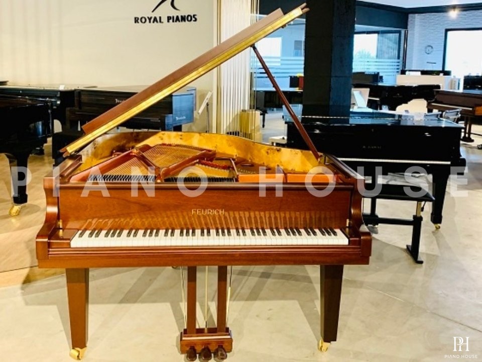 FEURICH 162 - "DYNAMIC I" (Satin Walnut)