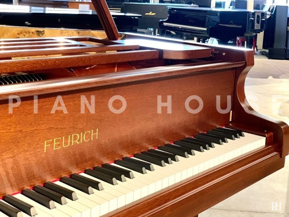 FEURICH 162 - "DYNAMIC I" (Satin Walnut)