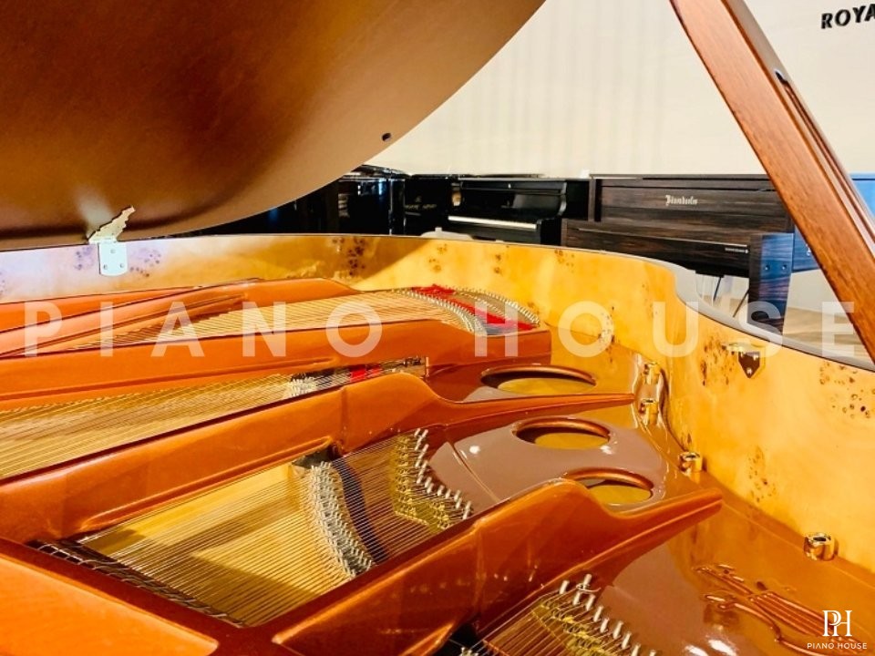 FEURICH 162 - "DYNAMIC I" (Satin Walnut)