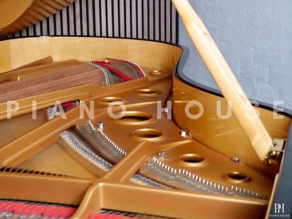 Fazioli F212 - Strauss Edition