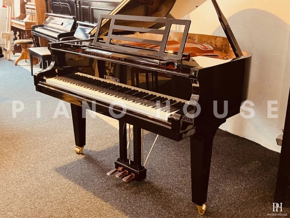 FEURICH 162  & DYNAMIC I (Black Polish & Brass)
