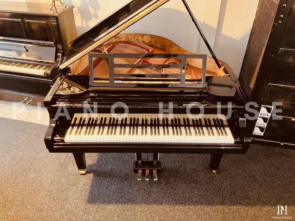 FEURICH 162  & DYNAMIC I (Black Polish & Brass)