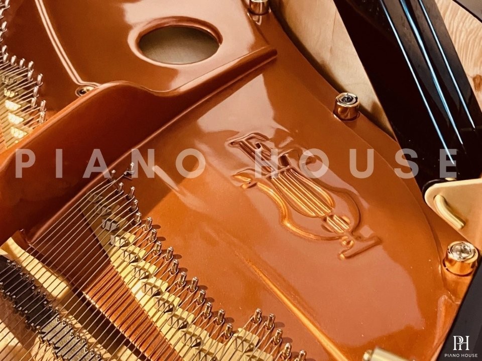FEURICH 162  & DYNAMIC I (Black Polish & Brass)