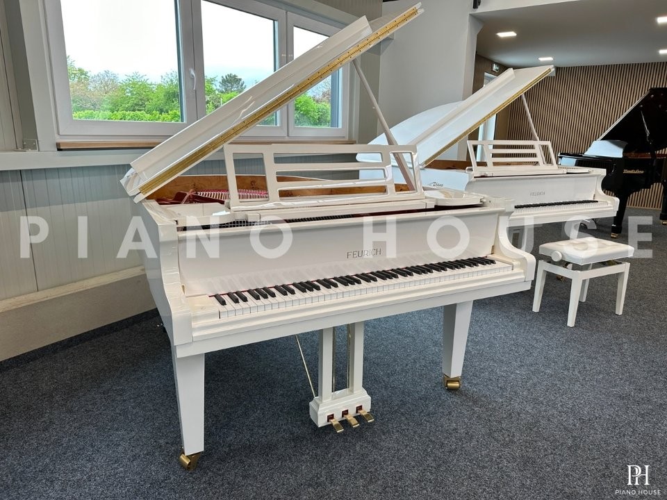FEURICH 162 - "DYNAMIC I" (White Polish & Brass)