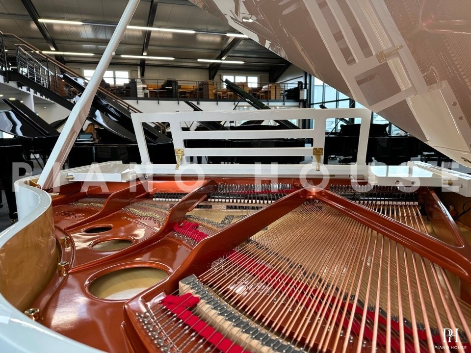 FEURICH 162 - "DYNAMIC I" (White Polish & Brass)