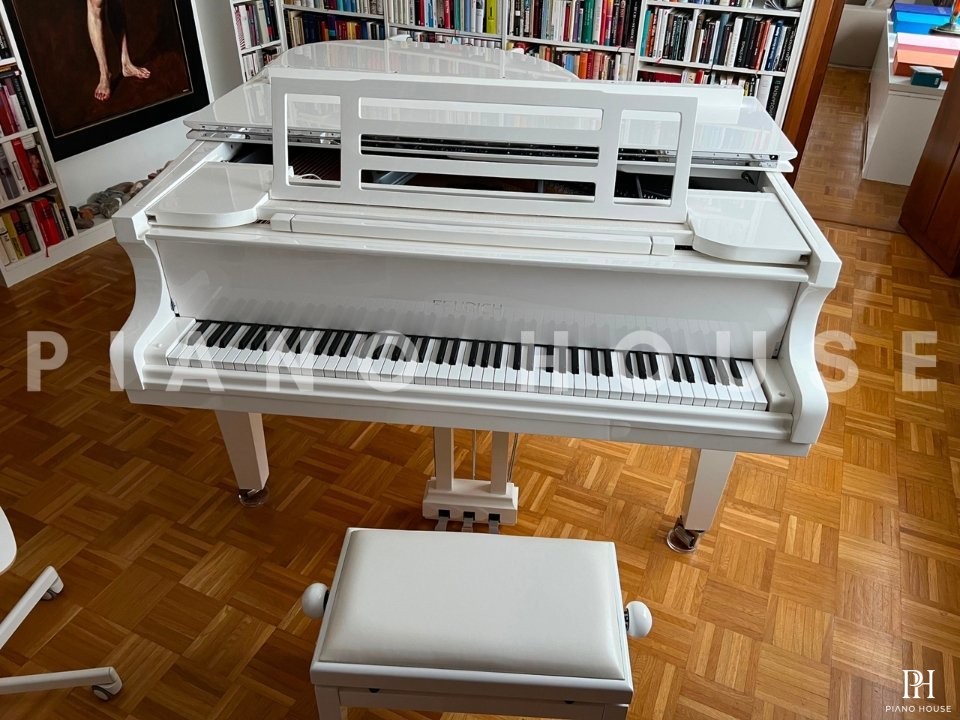 FEURICH 179 - "DYNAMIC II" (White Polish & Chrome)