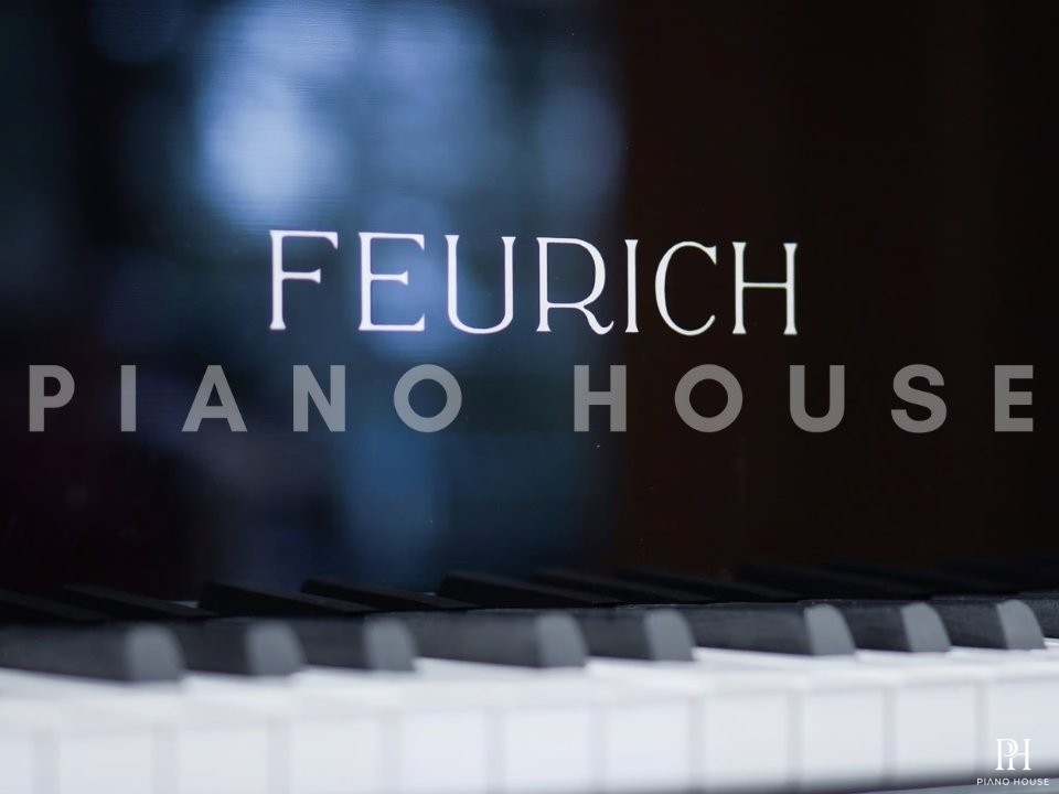 FEURICH 179 - "DYNAMIC II" (Black Polish & Chrome)