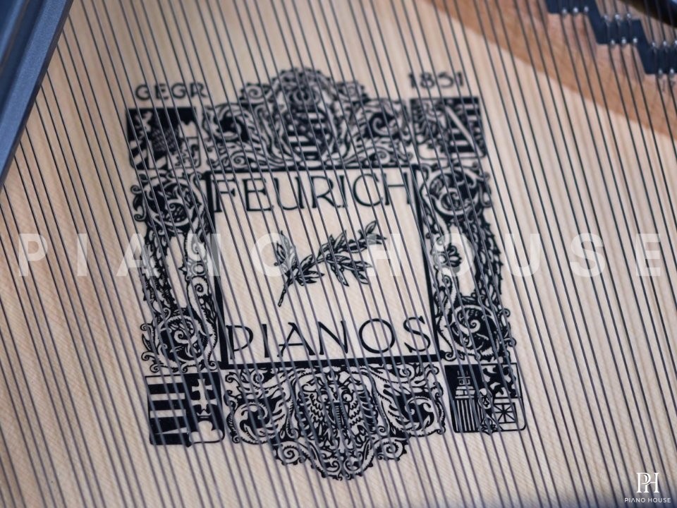 FEURICH 179 - "DYNAMIC II" (Black Polish & Chrome)
