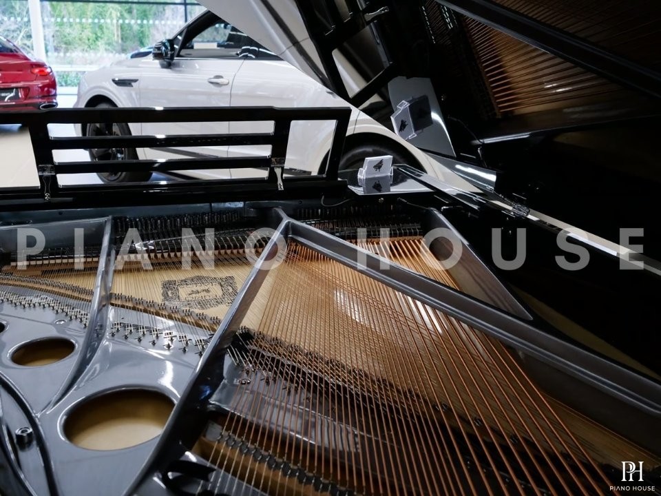FEURICH 179 - "DYNAMIC II" (Black Polish & Chrome)