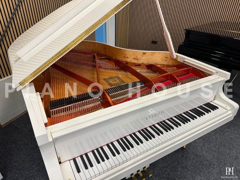 FEURICH 179 - "DYNAMIC II" (White Polish & Brass)