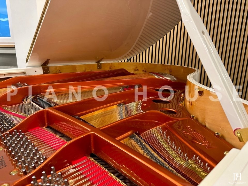 FEURICH 179 - "DYNAMIC II" (White Polish & Brass)