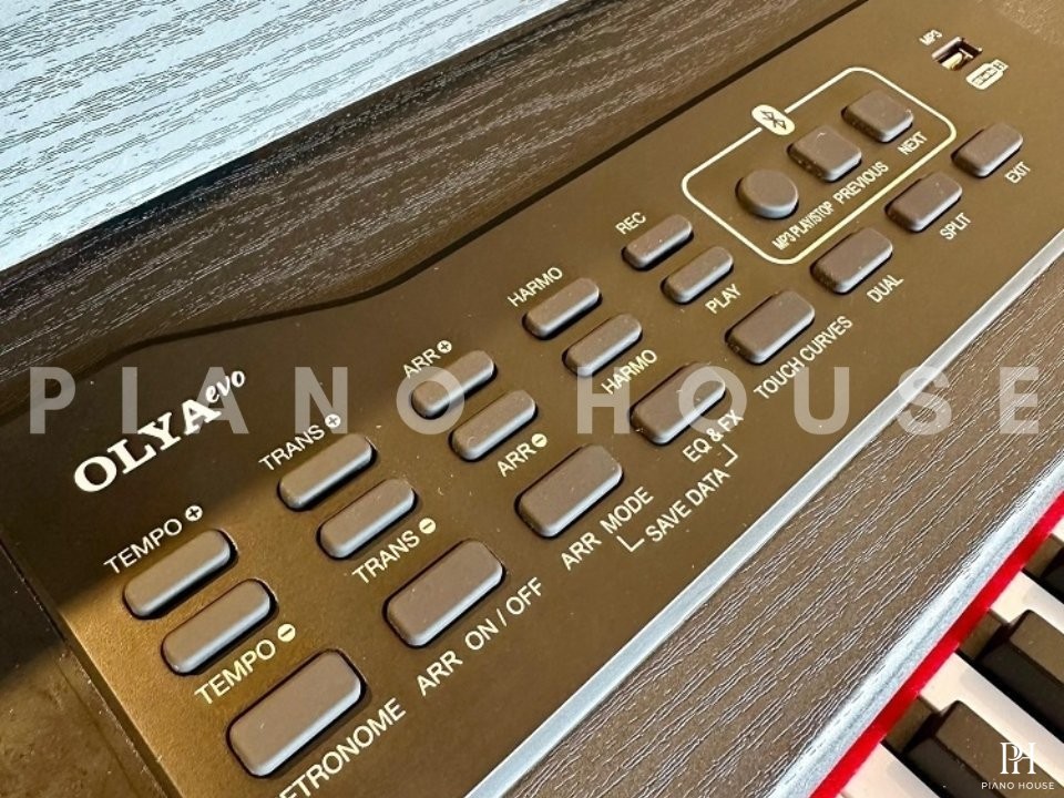 FEURICH OLYA EVO Black (Feurich Digital)