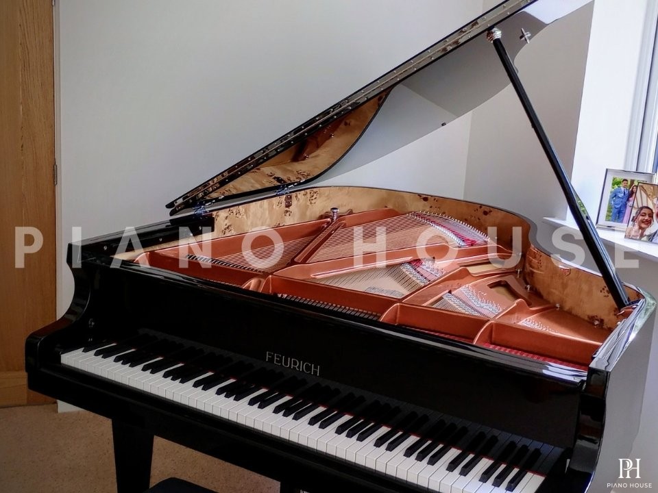 FEURICH Mod.178 DYNAMIC II (USED)
