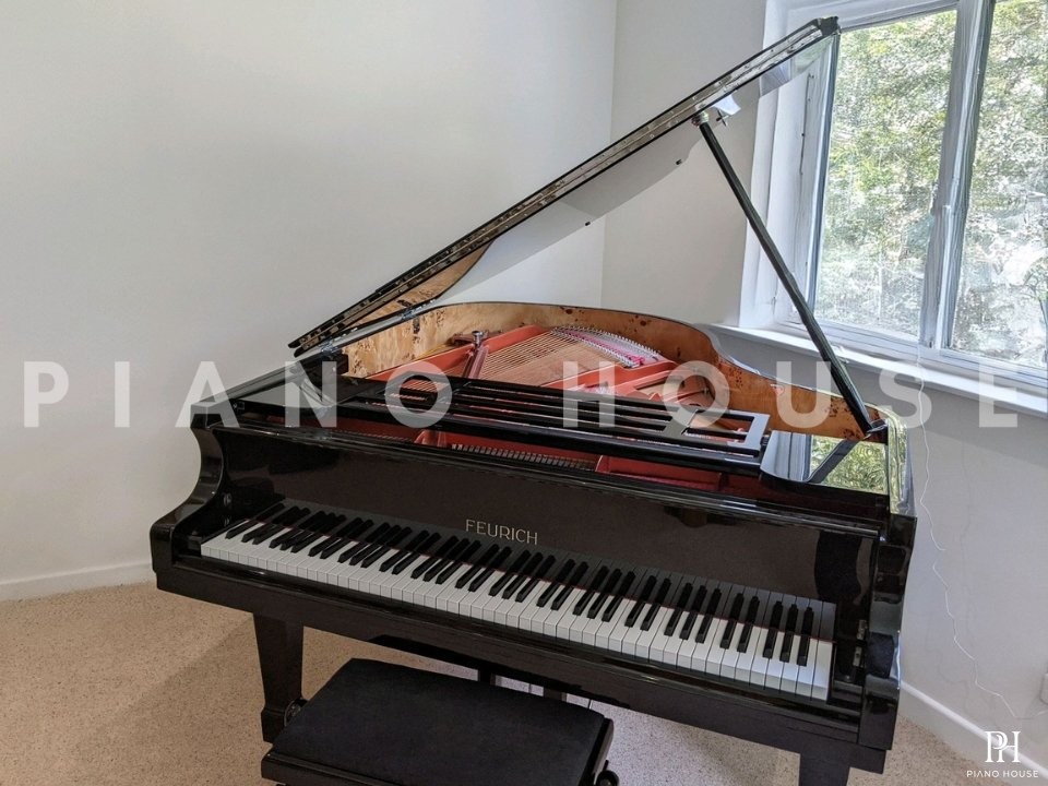 FEURICH Mod.178 DYNAMIC II (USED)