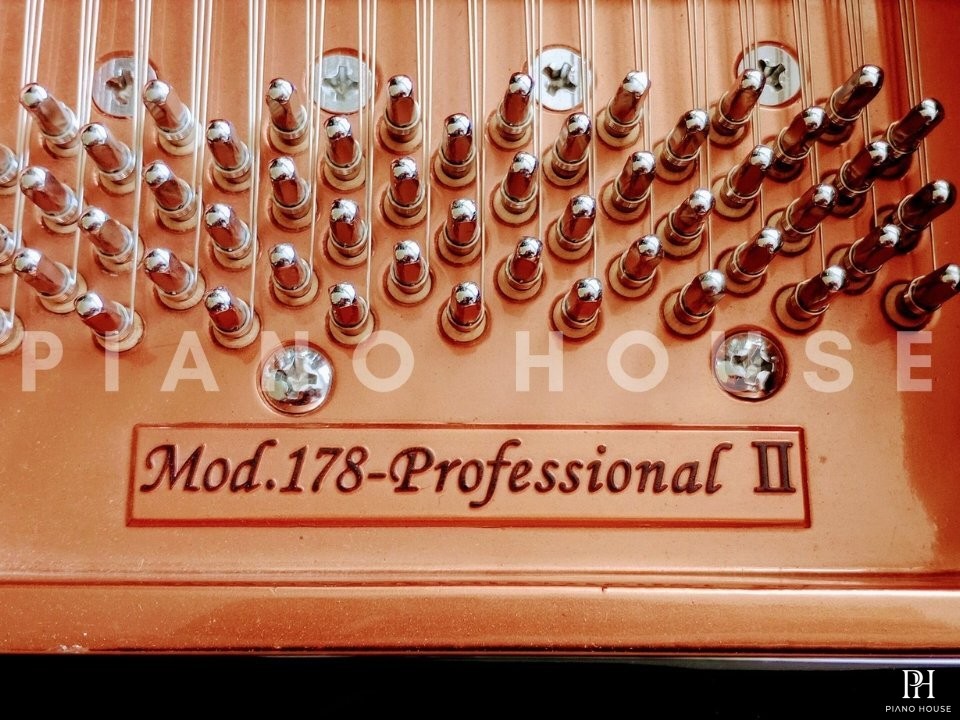 FEURICH Mod.178 DYNAMIC II (USED)