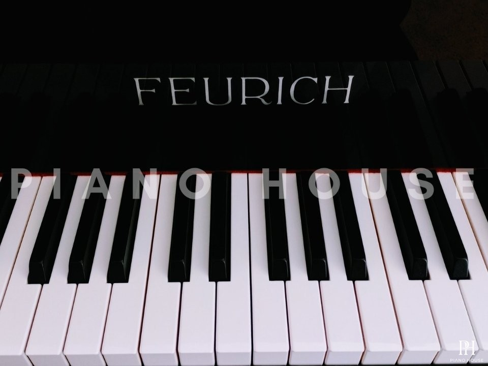 FEURICH Mod.178 DYNAMIC II (USED)