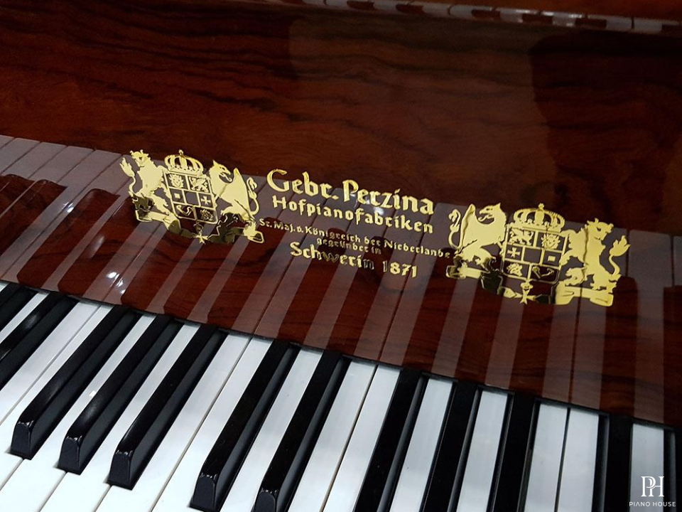 Gebr.Perzina GP186 Bubinga Wood Polyester