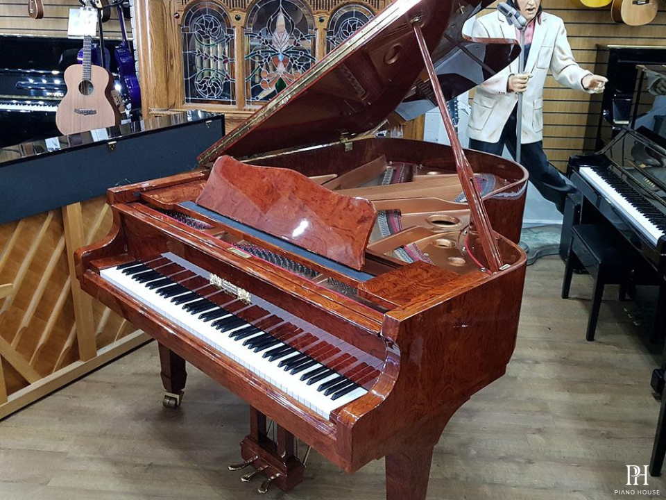 Gebr.Perzina GP186 Bubinga Wood Polyester