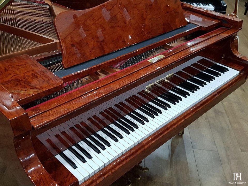 Gebr.Perzina GP186 Bubinga Wood Polyester