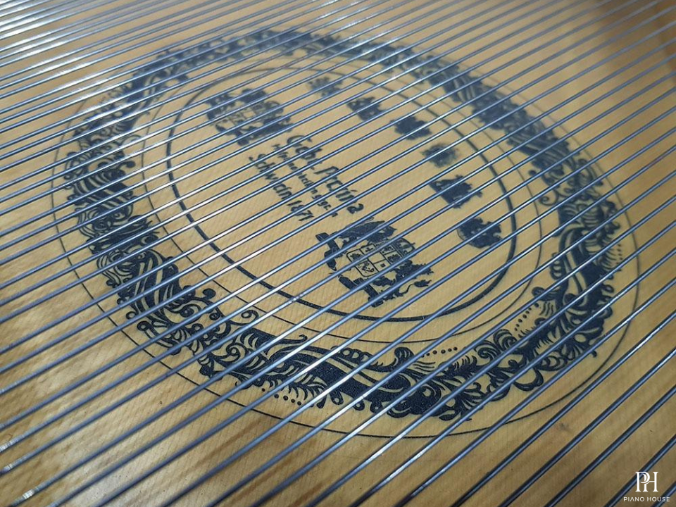 Gebr.Perzina GP186 Bubinga Wood Polyester