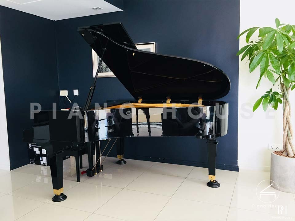 PIANO APOLLO A30