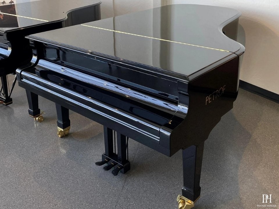 P-237 MONSOON (USED)
