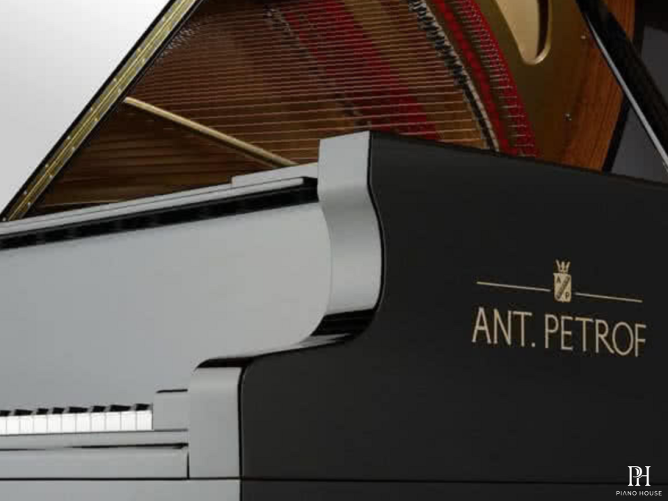 ANT. PETROF 225